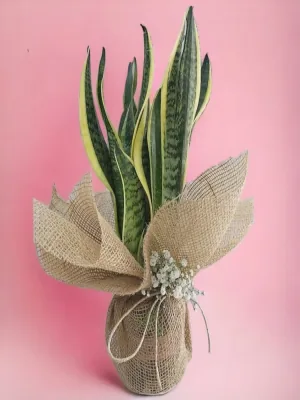 Floral Birthday - Pembeli Buket Tasarımı