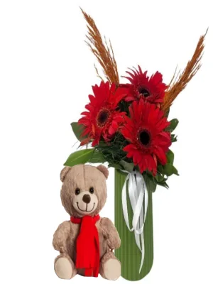 Ayıcık Ve Gerbera