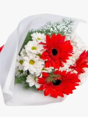 Ayıcık Ve Gerbera