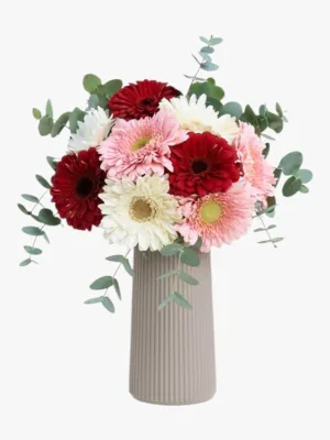 Kalanchoe Bitkisi Seramik Saksılı
